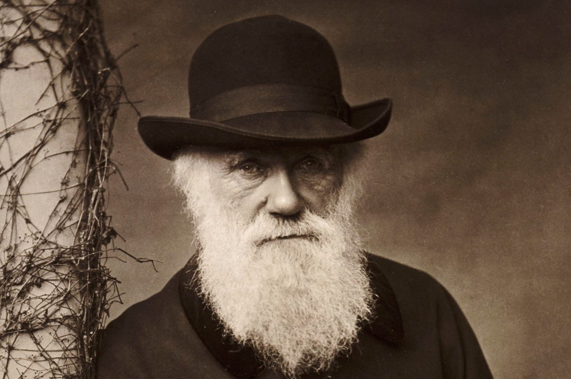 Evolutionary Determinism