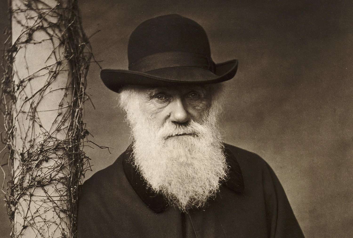 Shadows of the Descent: Darwin, Race, and Biology