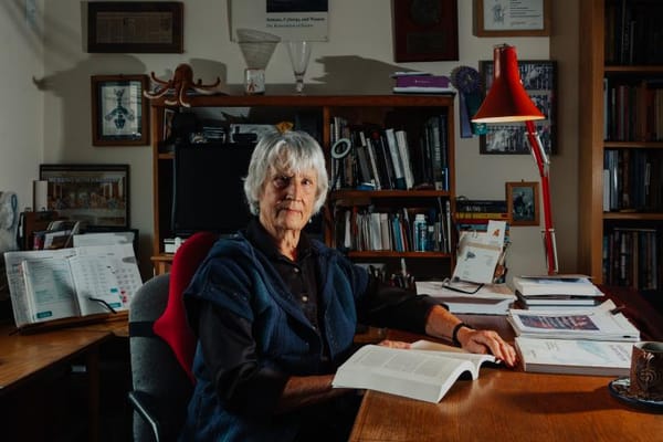 Donna Haraway's Cyborg Manifesto Explained