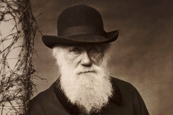 Evolutionary Determinism