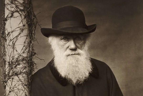 Shadows of the Descent: Darwin, Race, and Biology