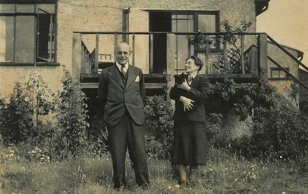 Karl Polanyi's Warning: The Free Market Myth