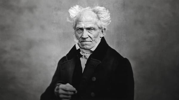 The Architecture of Desolation: Schopenhauer’s Metaphysics of Suffering